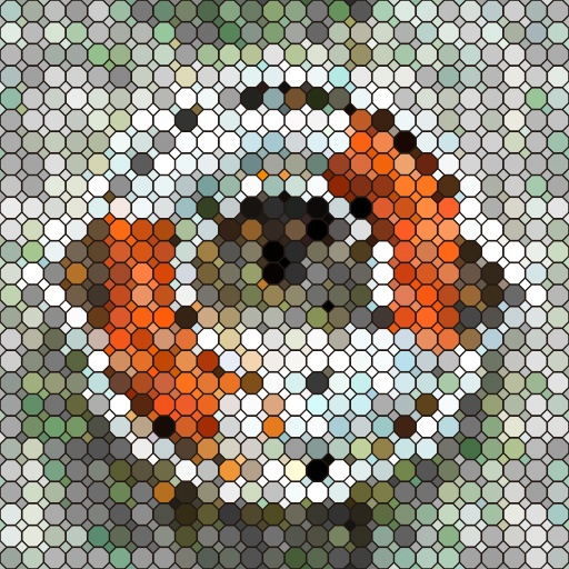 Diffuse Map