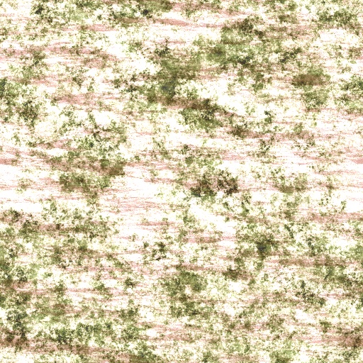 Variation 4
