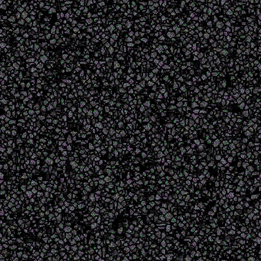 Variation 4