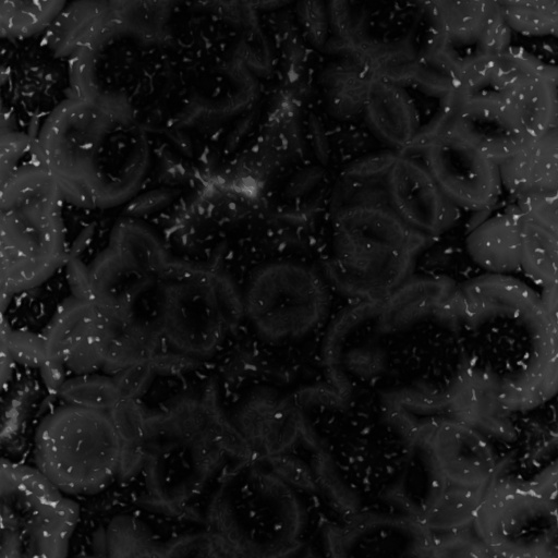 Bump Map