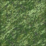 Digital Camouflage