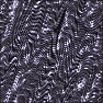 The Wave