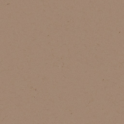 Recycled Paper (Texture)
