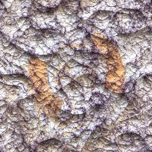 Variation 3