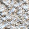 Snowdream