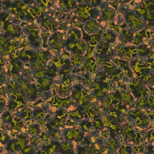 Variation 2