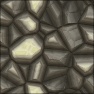 Turtle shell
