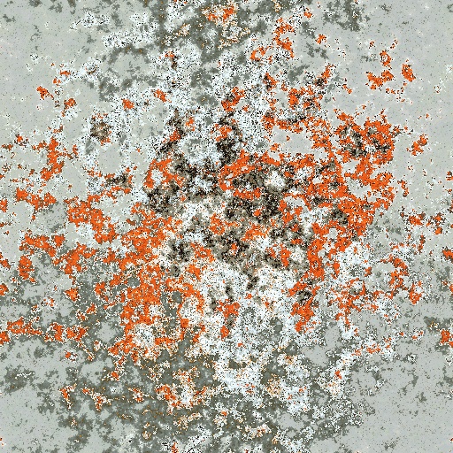 Variation 4