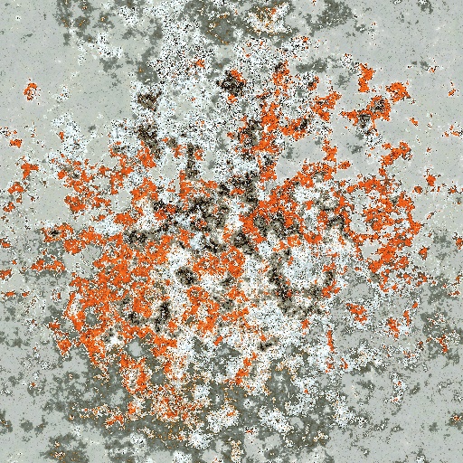 Variation 5