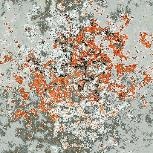 Variation 6