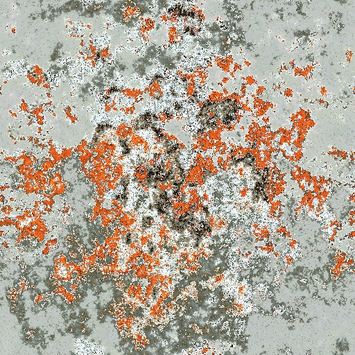 Variation 8