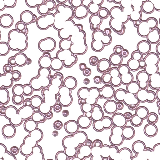 Variation 8