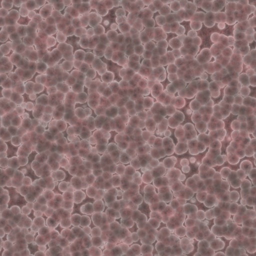 Variation 4