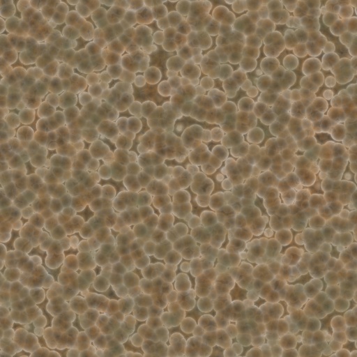 Variation 5