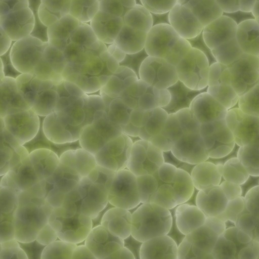 Variation 6