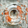 Scatter