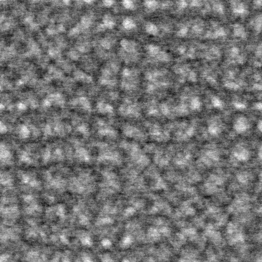 Bump Map