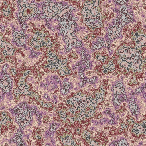 Polished Stone