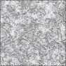 Dendrite