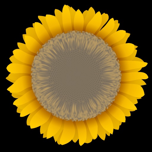 Diffuse Map