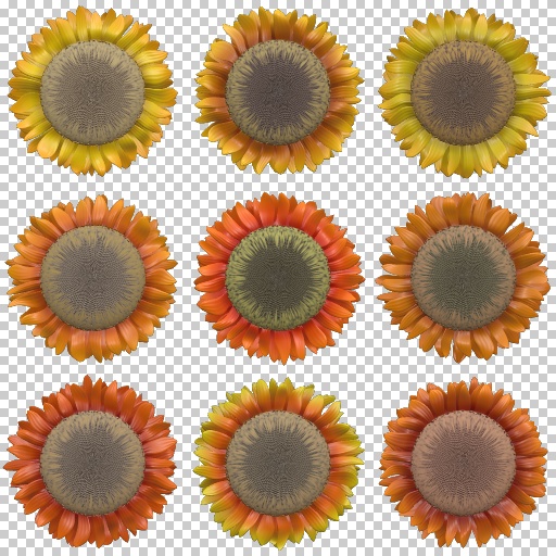 Variation 4