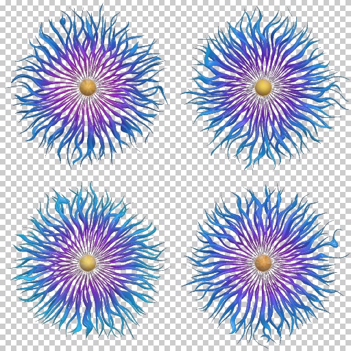 Variation 5