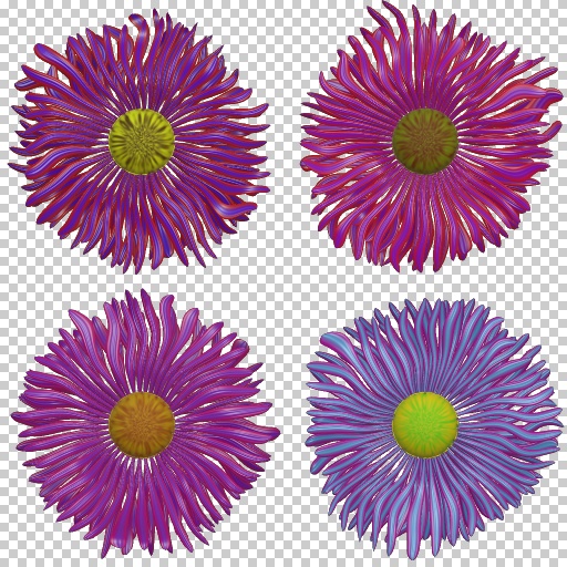 Variation 7