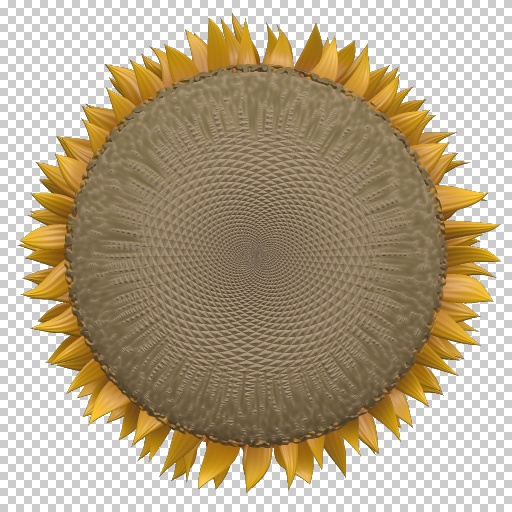 Variation 8