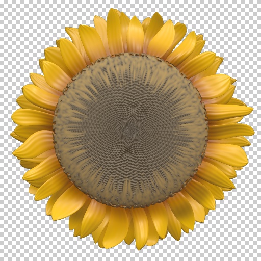 Sunflower (Texture)