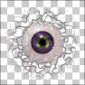 Oeil de Mutenerie