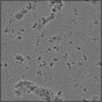 Pitted Concrete