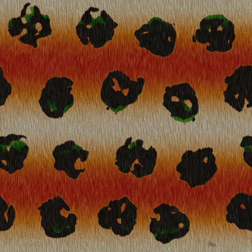 Variation 3