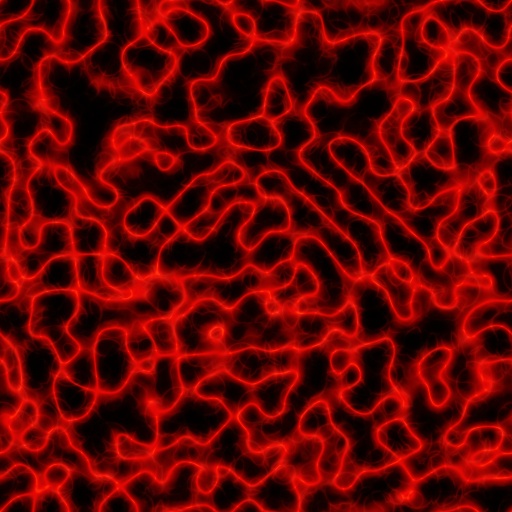 Variation 6