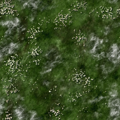 Grass (Texture)