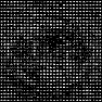 Invaders
