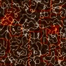 waves and squares