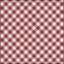 JLE Gingham Cotton