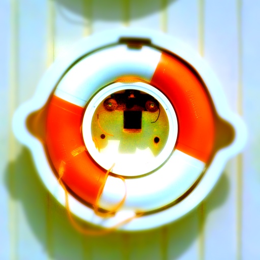 Variation 8
