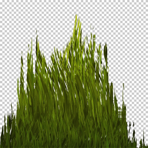 Variation 5
