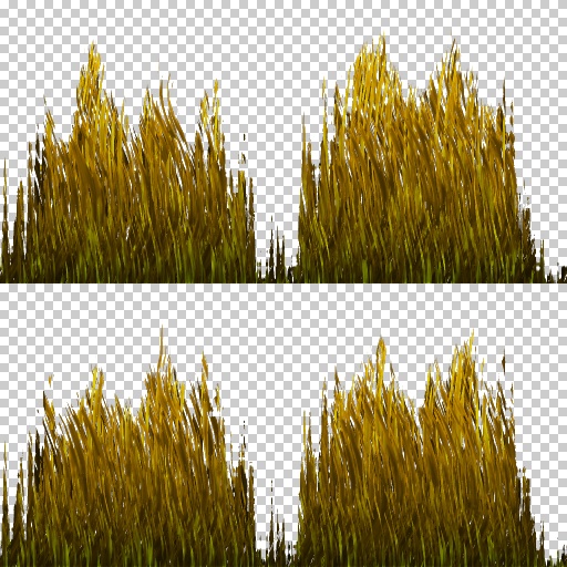 Variation 6