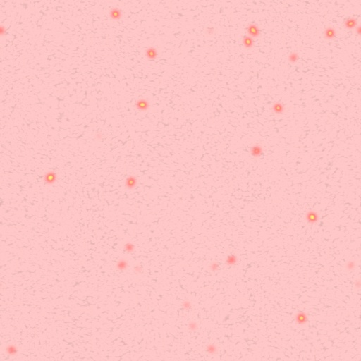 Diffuse Map