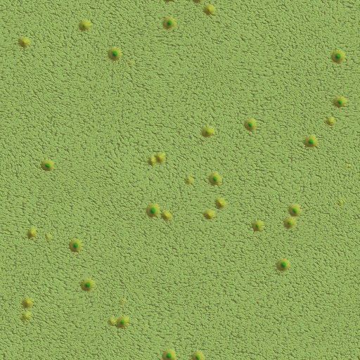 Variation 3