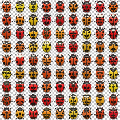 Beetle collection (Texture)