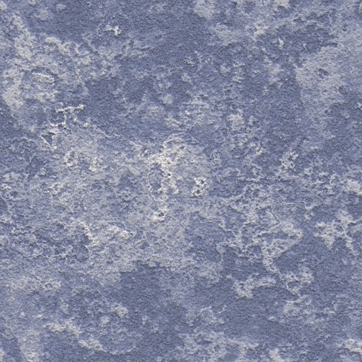 Variation 7