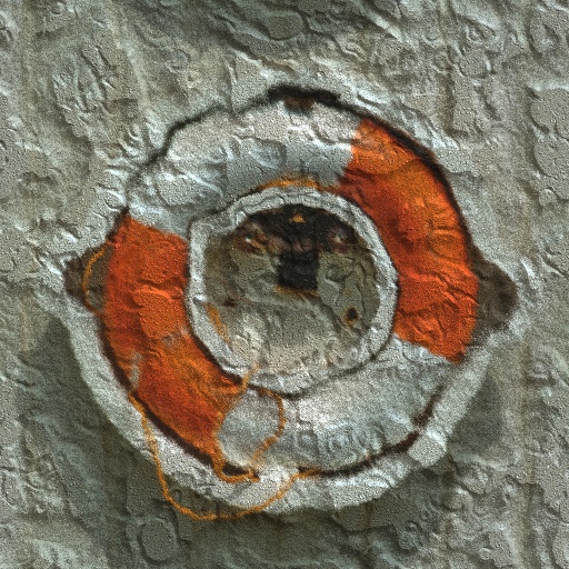 Variation 8