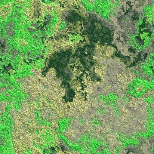 Delicate Moss and More (Texture)