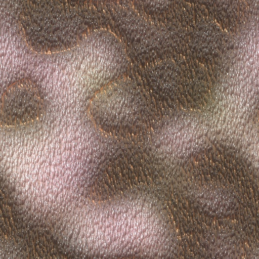 Variation 4