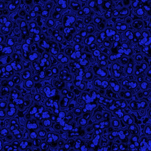 Variation 3