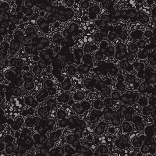 Variation 4