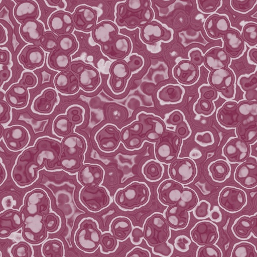 Variation 7